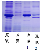 5d3aba805a31c.png A2.png