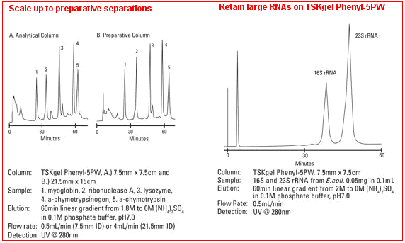 5d4b7c67211f5.png A1.png