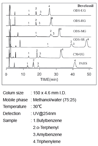 5d5604362b4ef.png 1.png