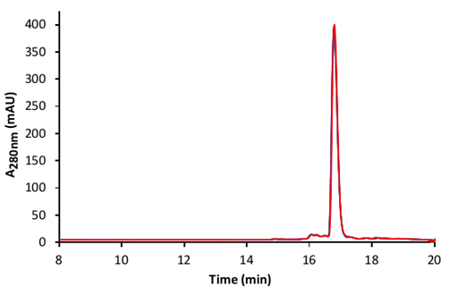 5dccecc65e2e6.jpg 15.jpg