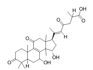 5e23cc8244594.jpg 16.jpg