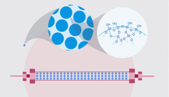 61809853c5ed7.png 222.png