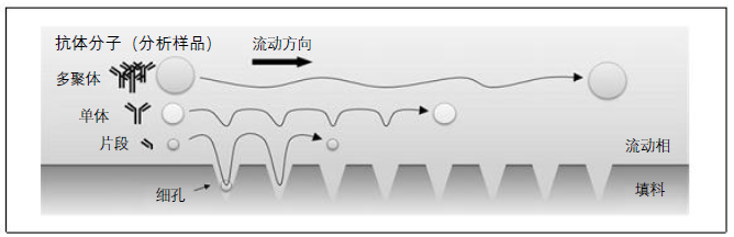 628b41eb316f3.jpg 1653293555(1).jpg